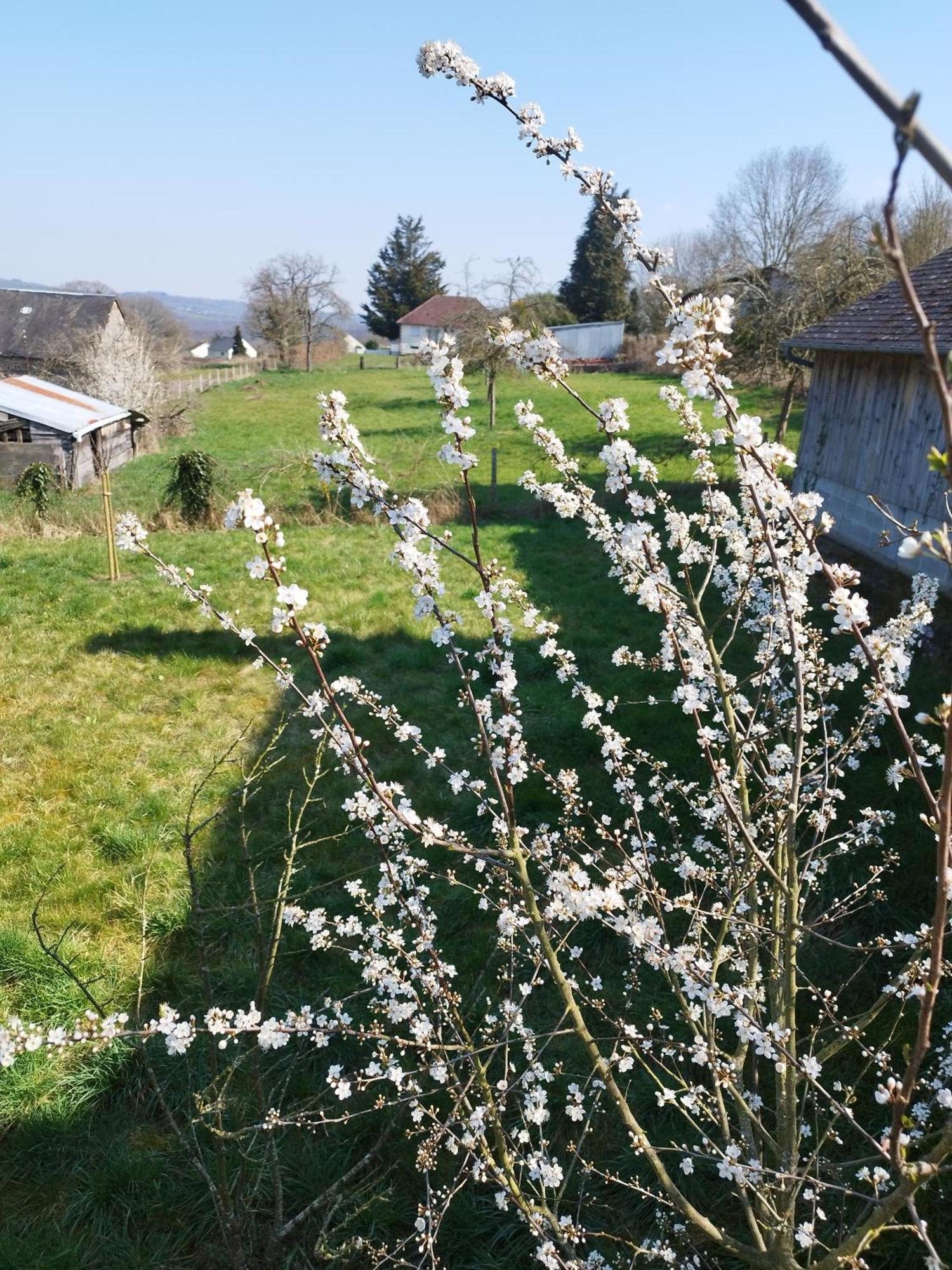 Chalet Des Roches Roche D'Oetre Suisse Normande Saint-Philbert-sur-Orne Buitenkant foto